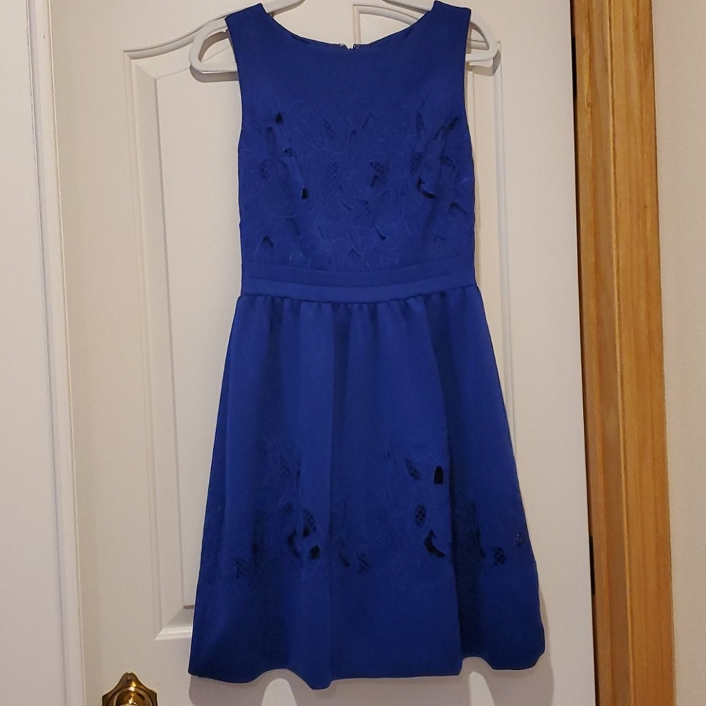 Betsy Johnson fit and flare dress